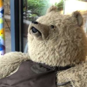 Meet your Posher, Erin